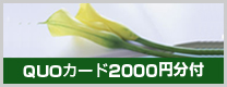 QUOカード２０００円分付